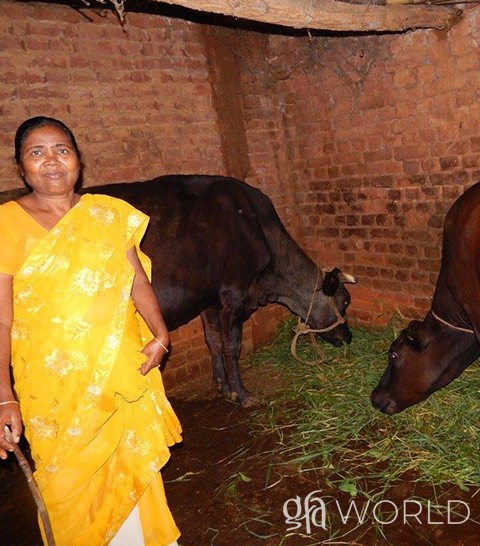 woman pictured beside two cows she received from GFA World.