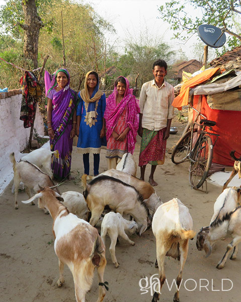 This family received goats from a GFA gift distribution.
